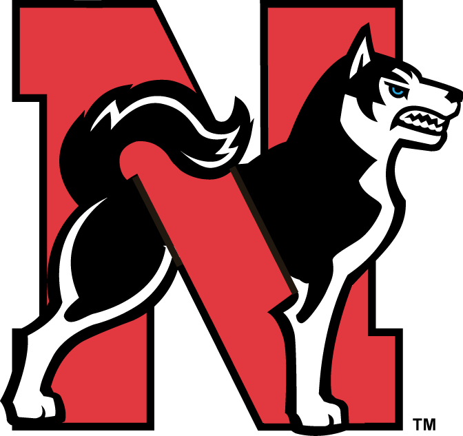 Northeastern Huskies 2001-2006 Alternate Logo v2 diy iron on heat transfer